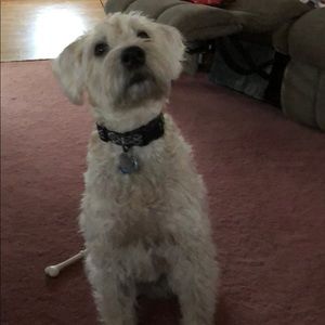 Meet your Posher, Keaton